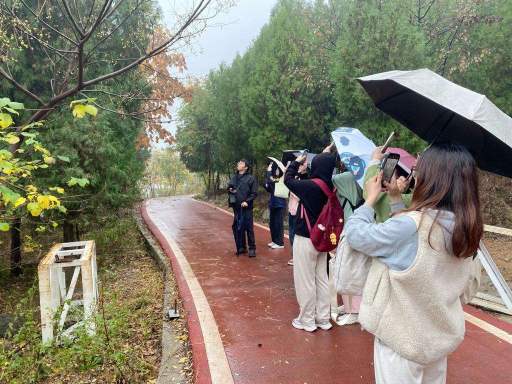 尹老师带领同学们认识常见植物 尹老师带领同学们认识常见植物
